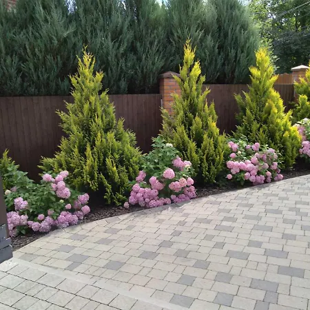 на довбуша 3 з резервним живленням Daire Truskavets